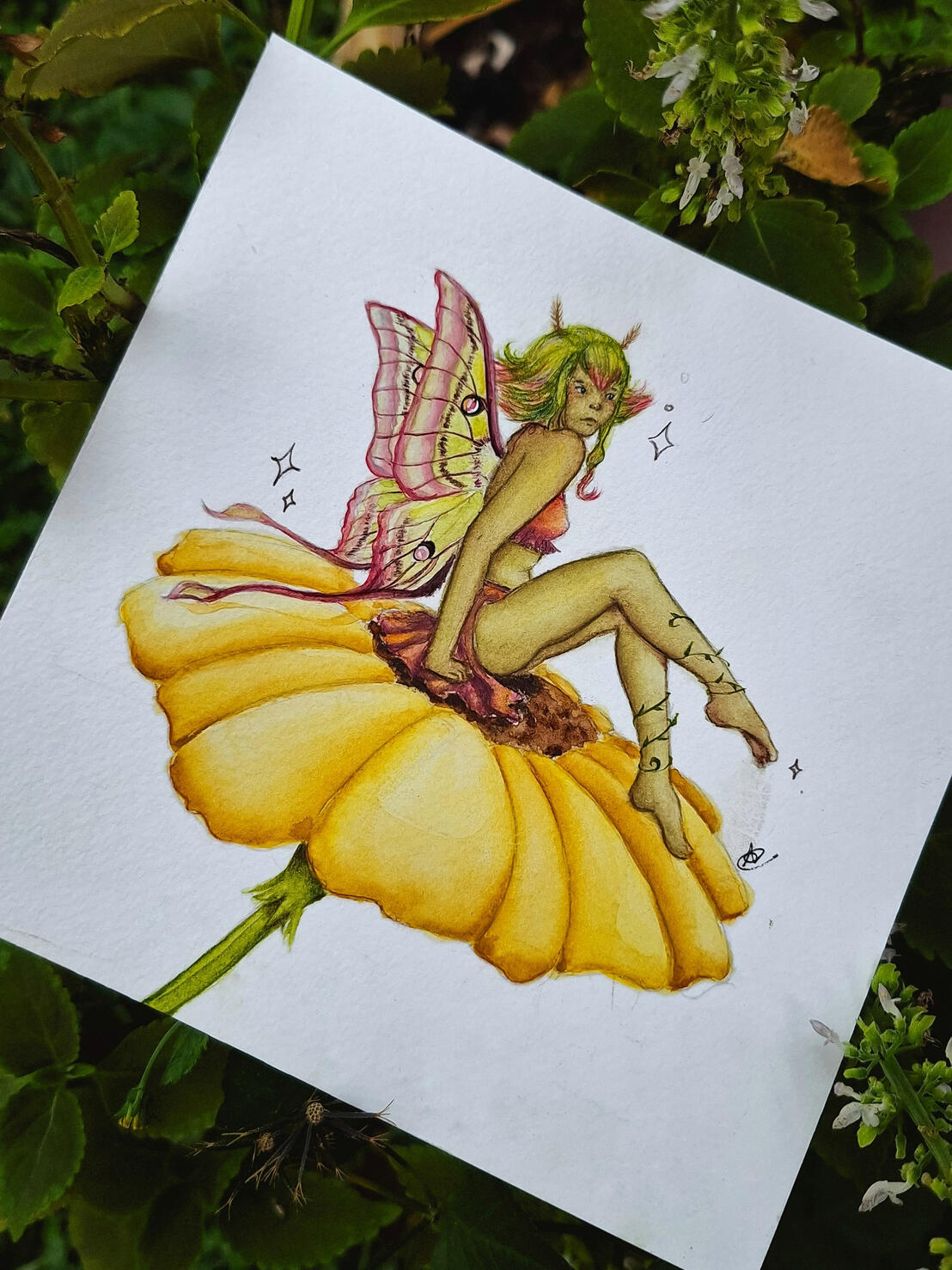Fada Mariposa Lua, autoral